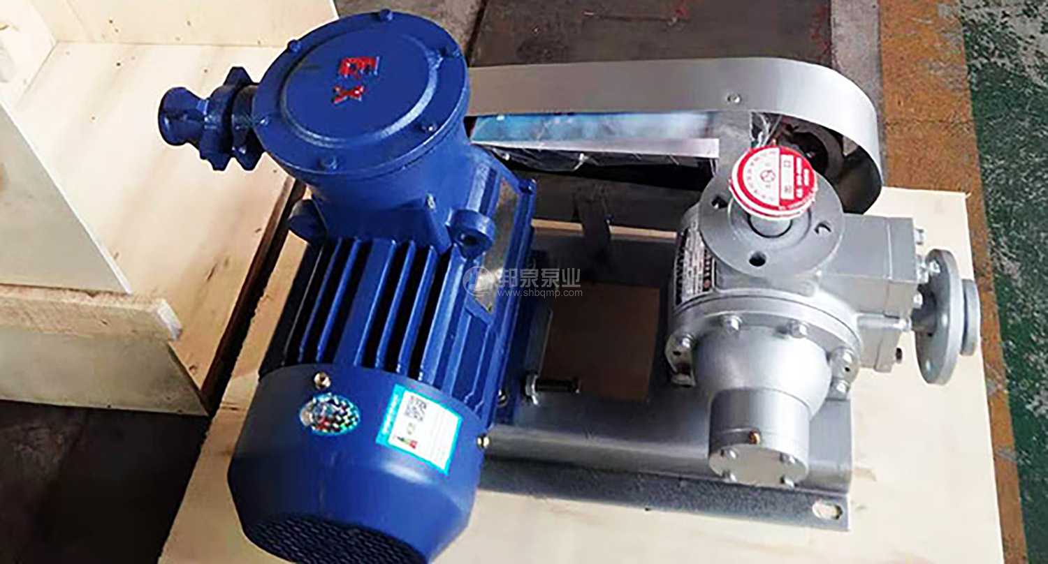 lpg vane pump 液化石油气泵
